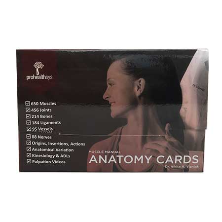 Muscle Manual Anatomy Flash Cards packaging