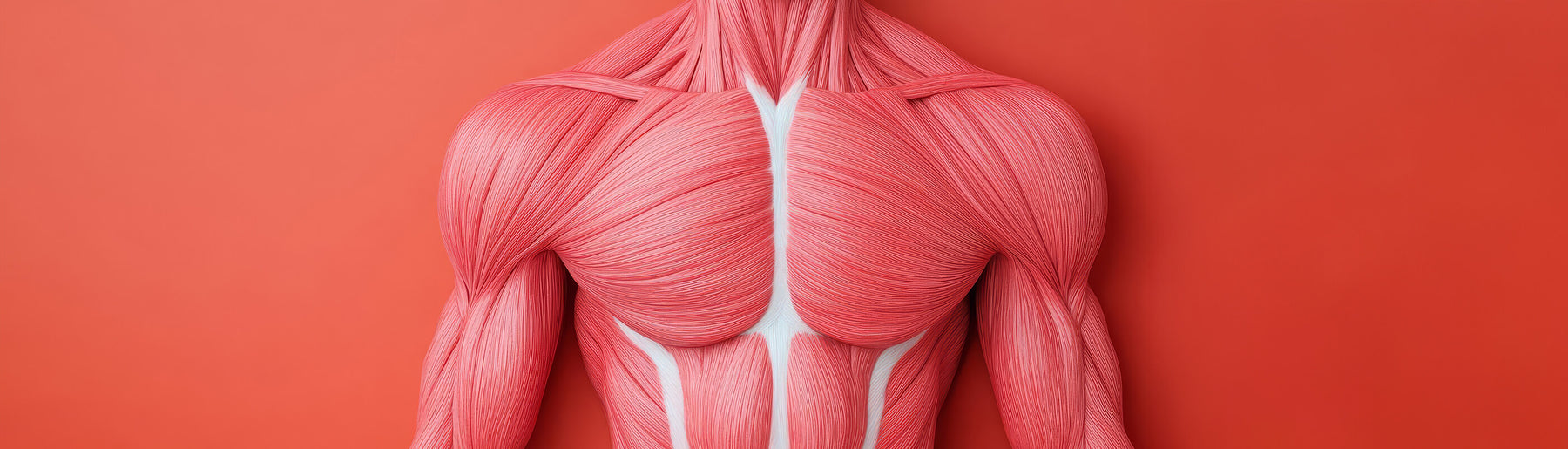 The Science Behind Fascia Release in Physical Therapy