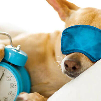 Bodybest 10 proven tips for better sleep