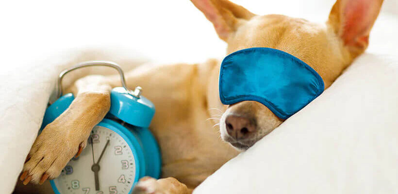 Bodybest 10 proven tips for better sleep