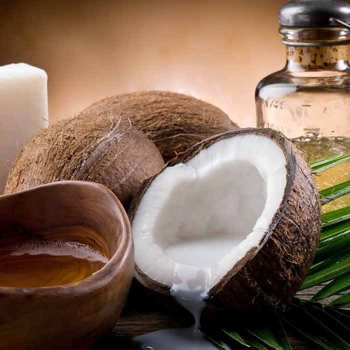 Bodybest Holly Massage Oil vs Fractionated Coconut Oil