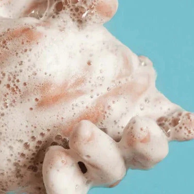 Bodybest How to Wash Your Hands Properly to Prevent Illness
