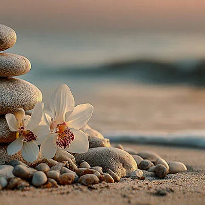 Bodybest massage tools for therapists