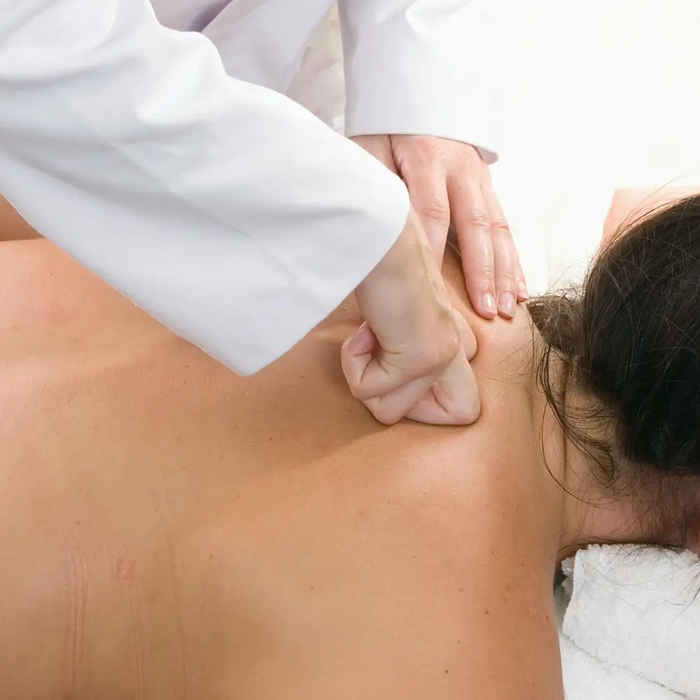 Bodybest Petrissage The Kneading Touch in Massage Therapy