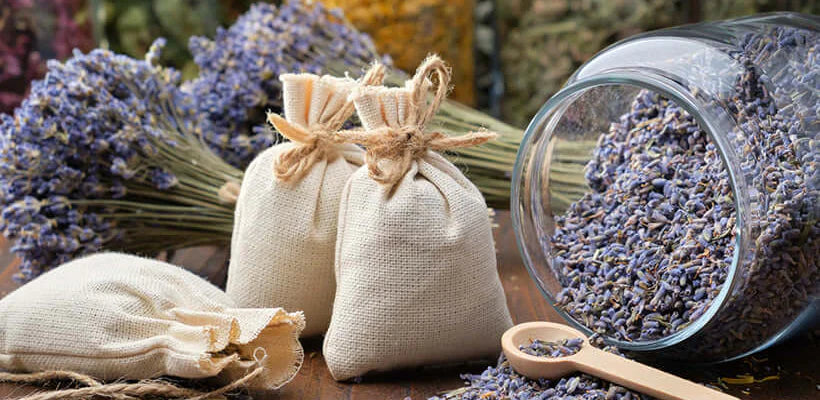 Bodybest Qualities and Methods of Essential Oil Extraction in Aromatherapy