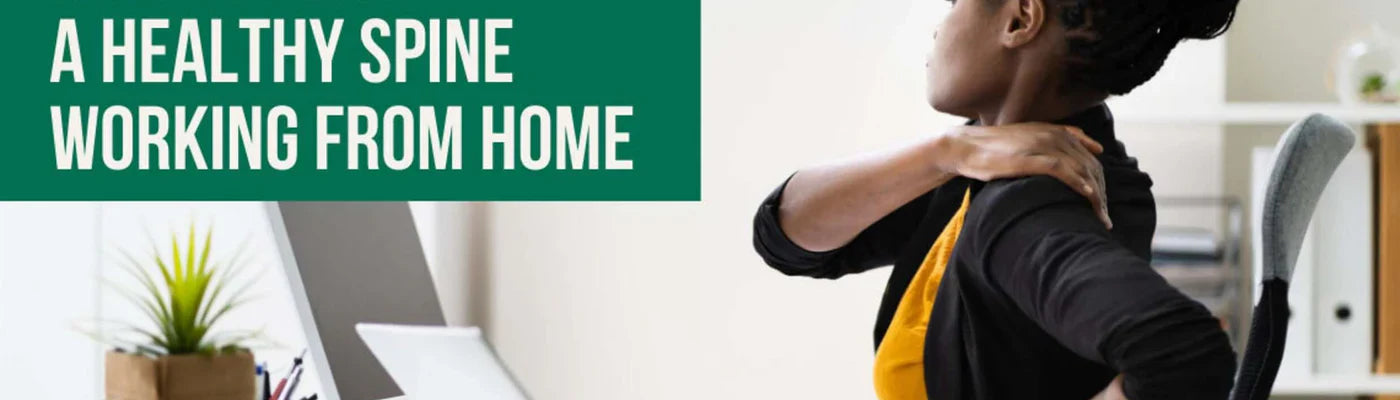 Bodybest How to Have a Healthy Spine Working from Home