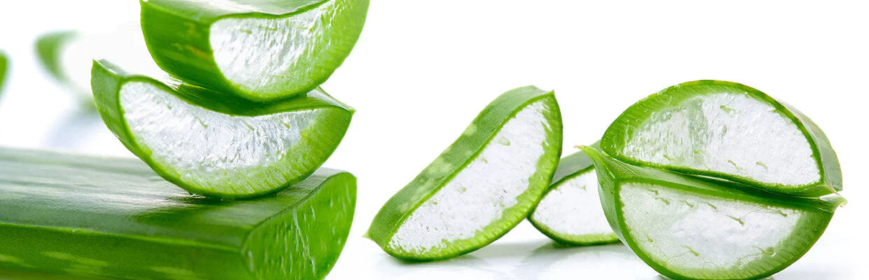 Bodybest The Benefit of Aloe Vera Products for Skin