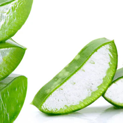 Bodybest The Benefit of Aloe Vera Products for Skin