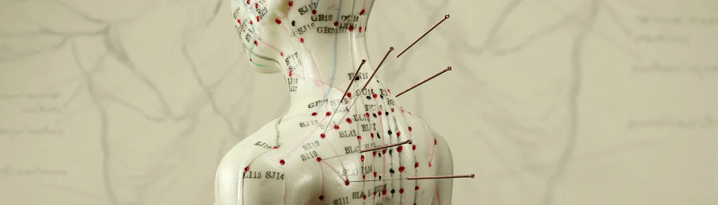 Bodybest The Therapeutic Uses of Acupuncture