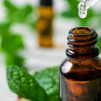 Bodybest Using Essential Oils 20 Aromatherapy oils explained