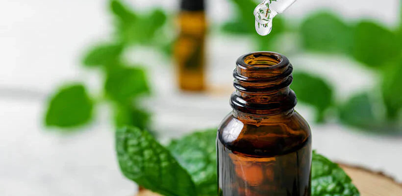 Bodybest Using Essential Oils 20 Aromatherapy oils explained