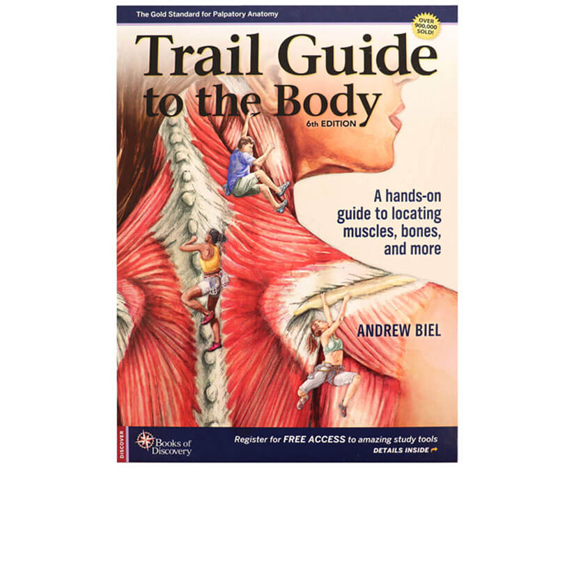 Anatomy Books for Massage Therapists
