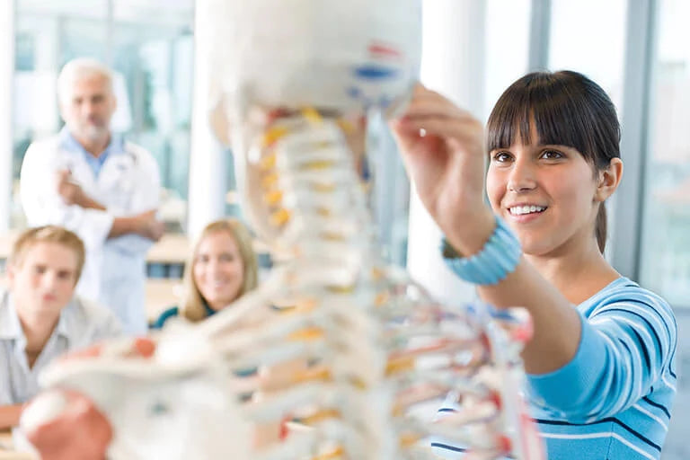 Massage Therapy Student Supplies in Canada - Body Best