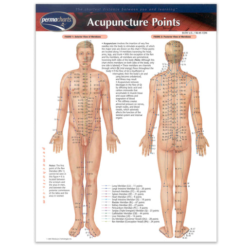 Acupuncture Perma Chart front