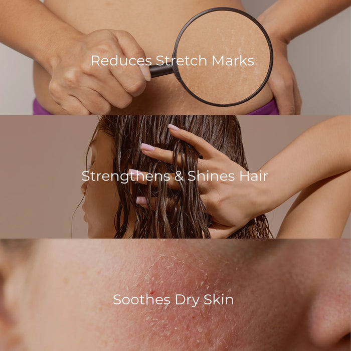 Benefits of BodyBest Almond Sweet Carrier oil 