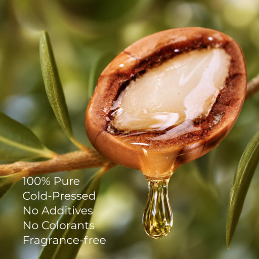 Argan nut with argan oil drop 100% pure cold pressed fragrance free, no additives, no colorants for BodyBest Virgin organic again carrier oil 