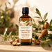 Lifestyle image of BodyBest Virgin organic again carrier oil with argan nuts and argan plant