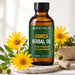Lifestyle image of BodyBest Arnica Herbal Oil 100ml with arnica flowers