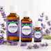 Lifestyle photo of BodyBest Lavender Essential Oil with all 3 sizes with lavender