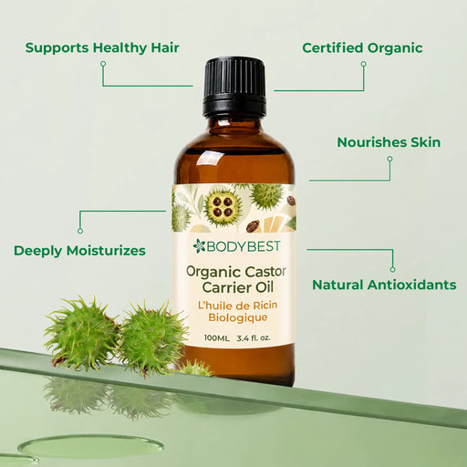 Benefits of BodyBest Organic Castor Carrier Oil 100ml with castor fruits