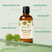 Benefits of BodyBest Organic Castor Carrier Oil 100ml with castor fruits