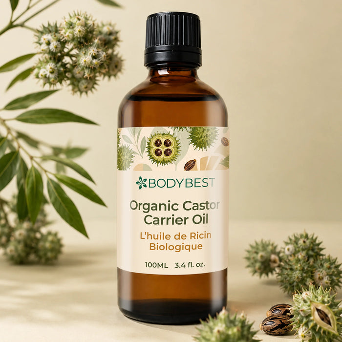 Lifestyle image of Organic Castor Carrier Oil with castor seeds, and castor plant