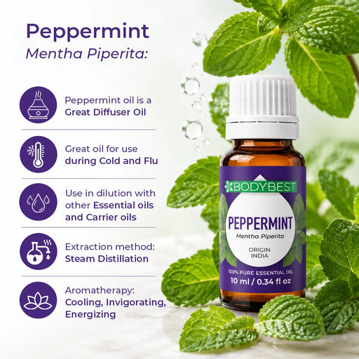 Benefits of peppermint - menthe piperita BodyBest peppermint oil