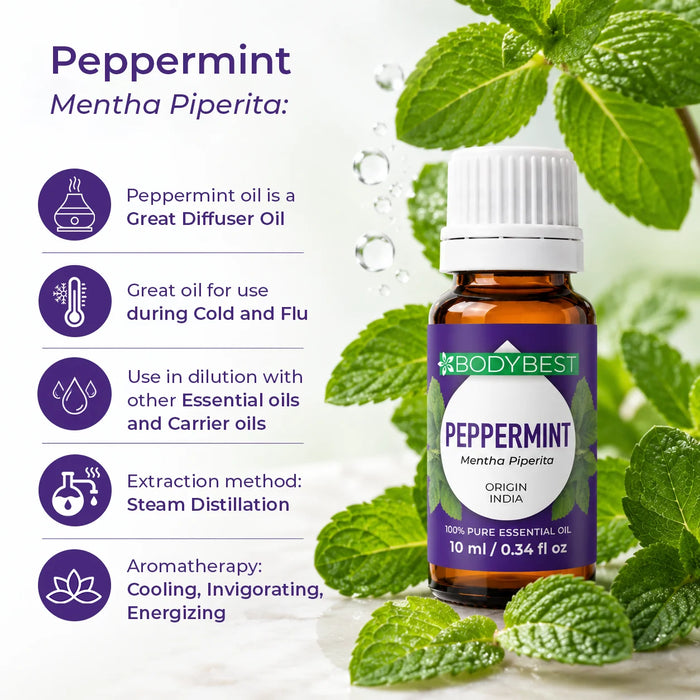 Benefits of peppermint - menthe piperita BodyBest peppermint oil