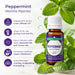 Benefits of peppermint - menthe piperita BodyBest peppermint oil