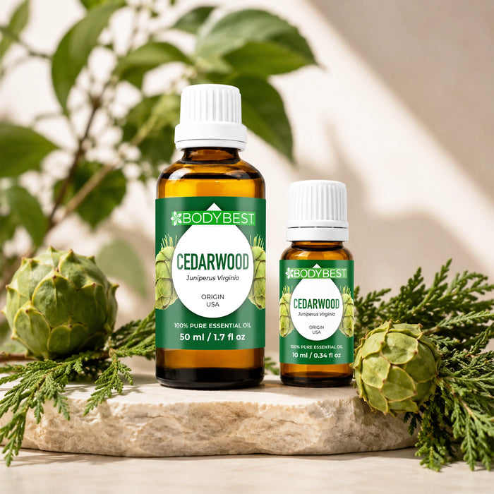 BodyBest Cedarwood essential oil 10ml and 50ml with cedar leaves and fruit