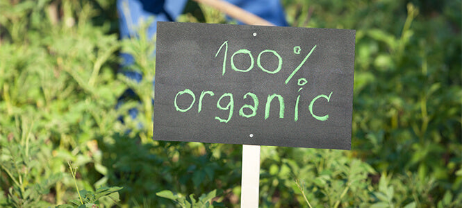 black sign showing 100 % organic