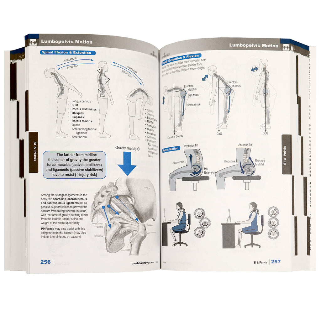 Textbooks for Therapists | Manuals for Massage Students | Toronto