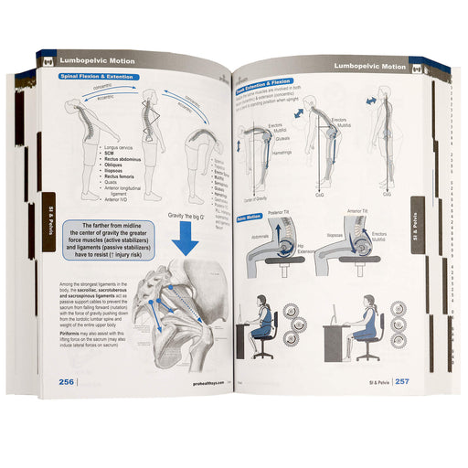 Clinical Massage Reference Book open showing diagrams
