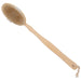 Dry Brush with removable handle showing bristles full length of brush