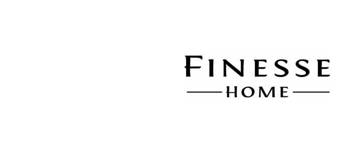 Finess logo