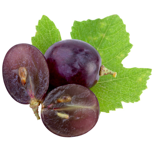 Purple grapes with green leaf