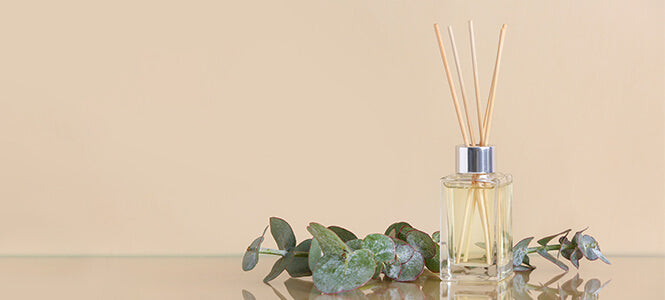diffuser bottle with sticks