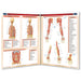 Muscular System Perma Chart inside pages