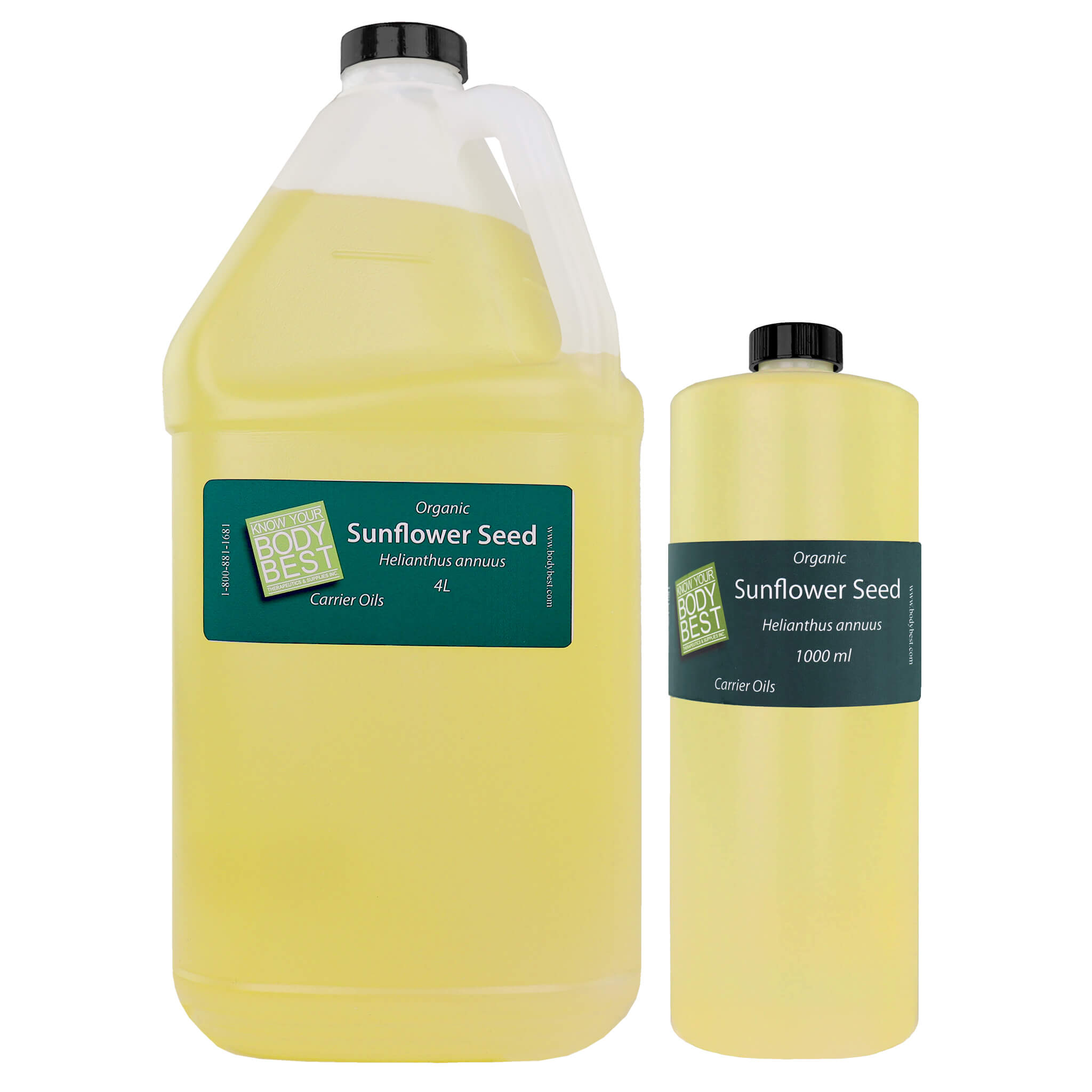 Benefits of Using Sunflower Oil Everday, Including Massage Therapy