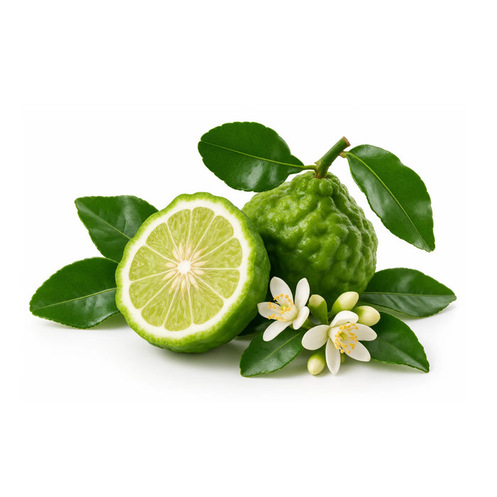 SacredEarth Organic Bergamot Essential Oil