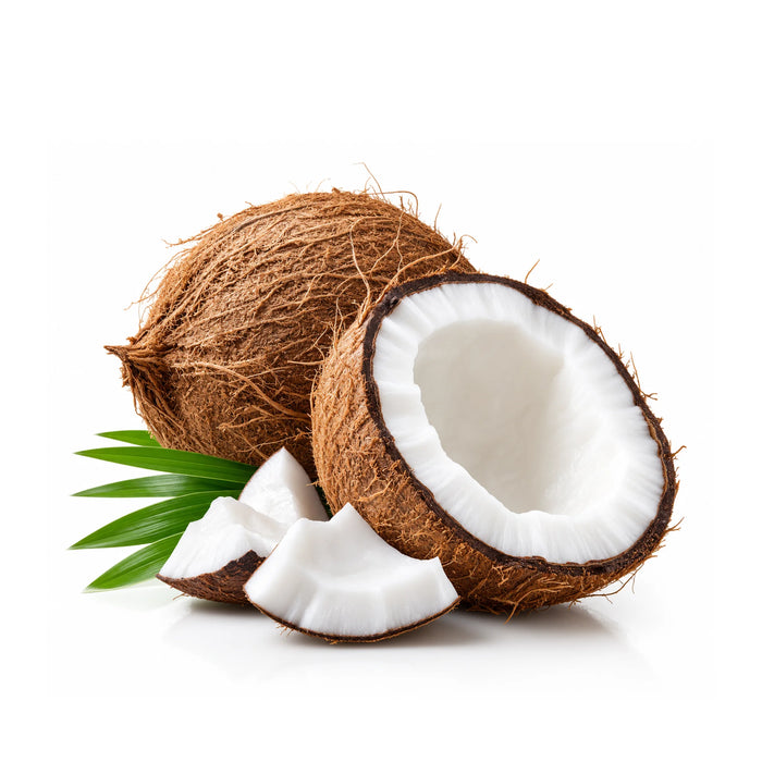 SacredEarth Organic Fractionated Coconut Oil