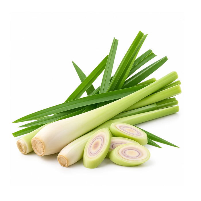 SacredEarth Organic Lemongrass Essential Oil 15ml