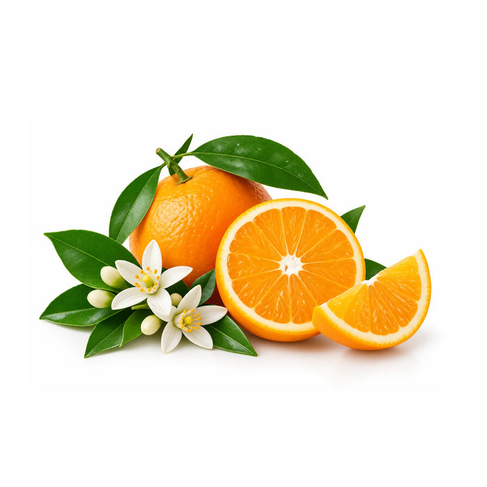 SacredEarth Organic Orange Essential Oil