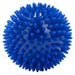 Blue Spiky Massage Ball