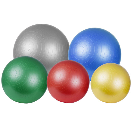TheraBand Pro Series Excercise Balls all available colours
