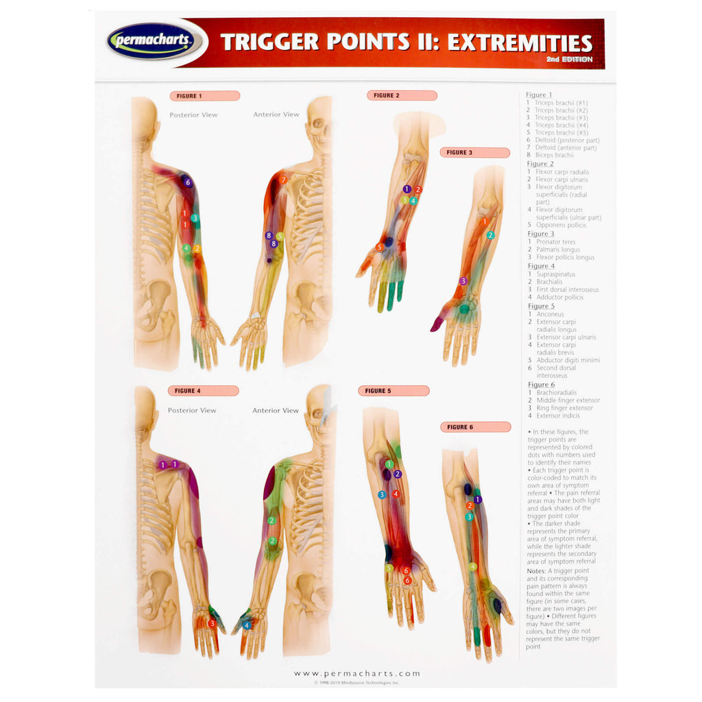 Free Trigger Point Map Educational Anatomy Books, Anatomical Charts, Skeletons