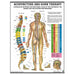 Laminated acupuncture and Dorn therapy chart illustrating body points and alignment techniques, with detailed anatomical markings for therapeutic and educational use.