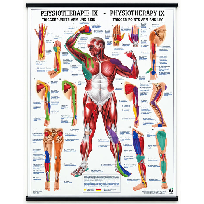 Trigger Points Anatomical Charts