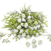 Bouquet of juniper berry flowers on a white background