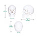 Human Skull Budget Model 3 part  skull replica size